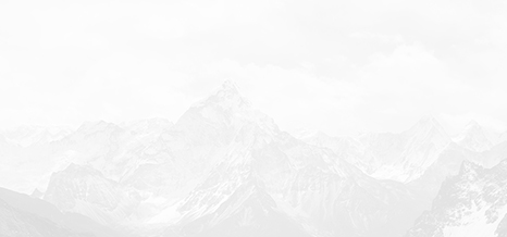 ZHEJIANG RIBON INTELINENTSKA EKSPERTY CO., LTD.